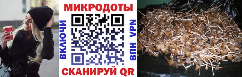 Галлюциногенные грибы Magic Shrooms  купить   Нижняя Тура 